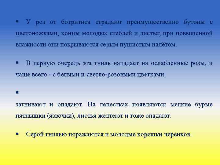 § У роз от ботритиса страдают преимущественно бутоны с цветоножками, концы молодых стеблей и