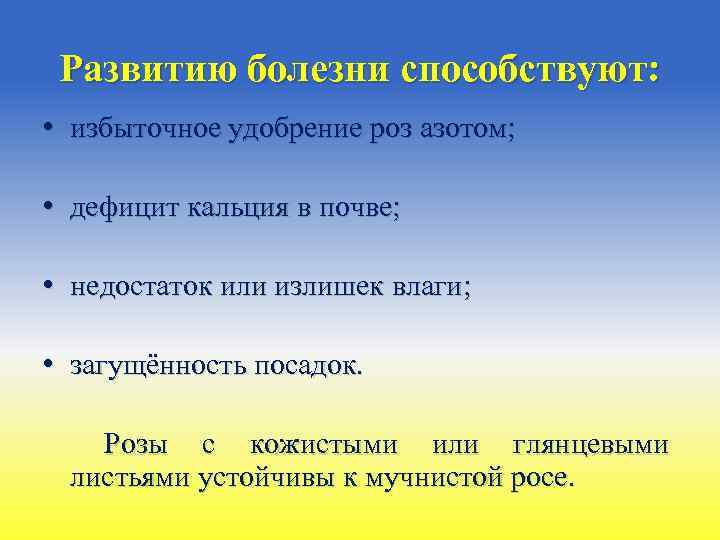 Развитию болезни способствуют: • избыточное удобрение роз азотом; • дефицит кальция в почве; •