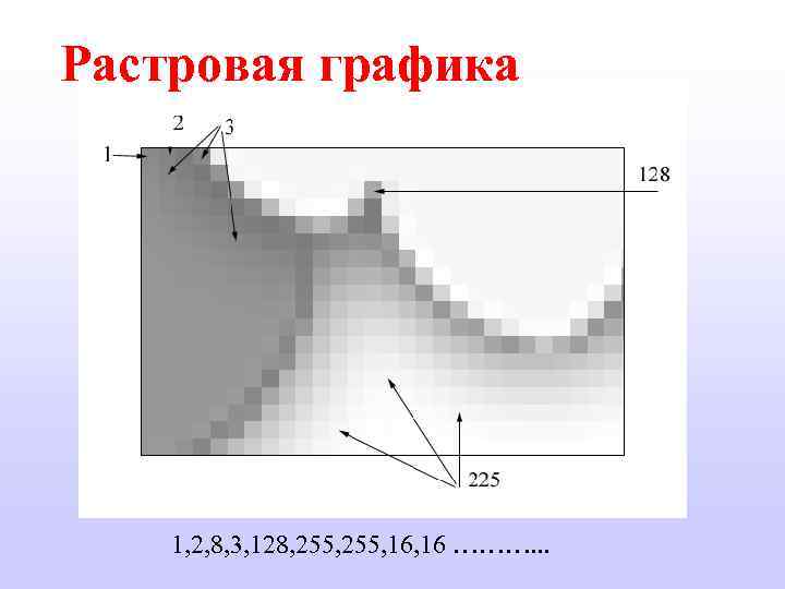 Растровая графика 1, 2, 8, 3, 128, 255, 16 ………. . . 