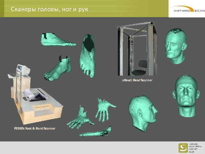 Сканеры головы, ног и рук a. Head: Head Scanner PEDUS: Foot & Hand Scanner