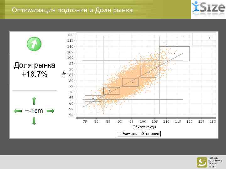 Доля рынка +16. 7% Hip Оптимизация подгонки и Доля рынка Обхват груди Размеры Значения
