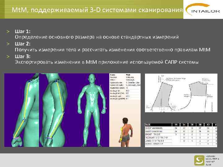 Mt. M, поддерживаемый 3 -D системами сканирования > Шаг 1: Определение основного размера на