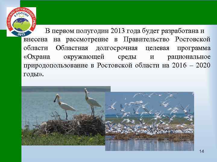 В первом полугодии 2013 года будет разработана и внесена на рассмотрение в Правительство Ростовской