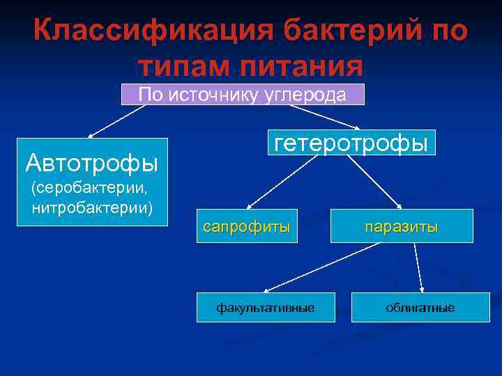 Питание и рост микроорганизмов презентация