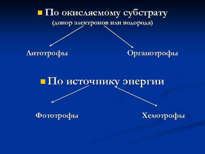 Хемотрофы. Литотрофы и органотрофы. Литотрофы это в микробиологии. Литотрофы бактерии. Органотрофы это в микробиологии.