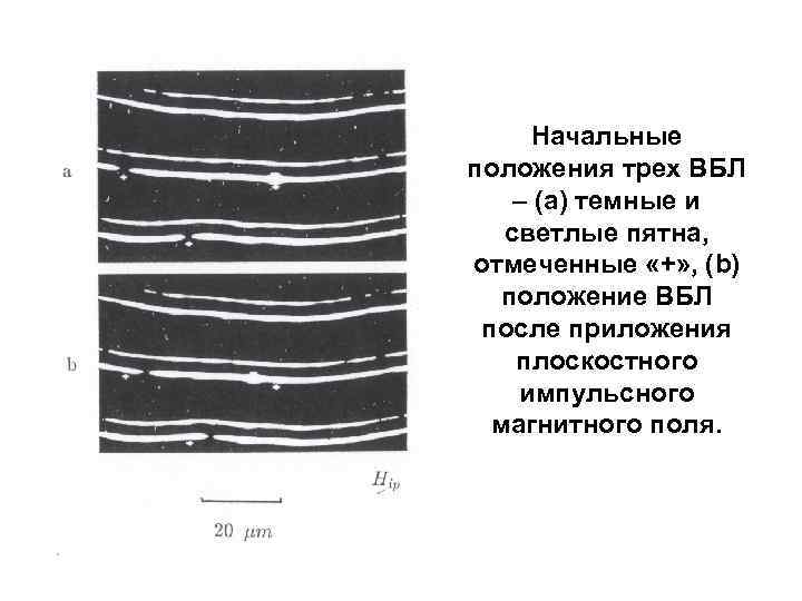 Начальные положения трех ВБЛ – (а) темные и светлые пятна, отмеченные «+» , (b)