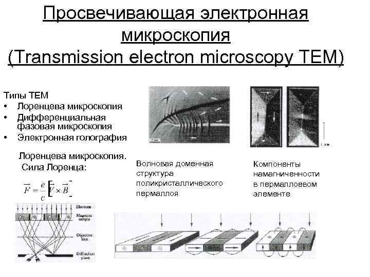 Просвечивающая электронная микроскопия (Transmission electron microscopy TEM) Типы ТЕМ • Лоренцева микроскопия • Дифференциальная