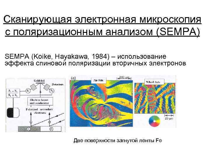 Сканирующая электронная микроскопия с поляризационным анализом (SEMPA) SEMPA (Koike, Hayakawa, 1984) – использование эффекта