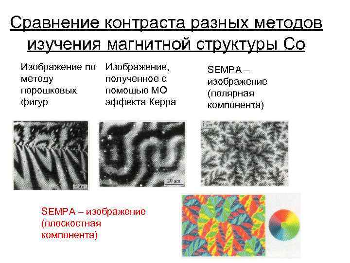 Сравнение контраста разных методов изучения магнитной структуры Co Изображение по методу порошковых фигур Изображение,