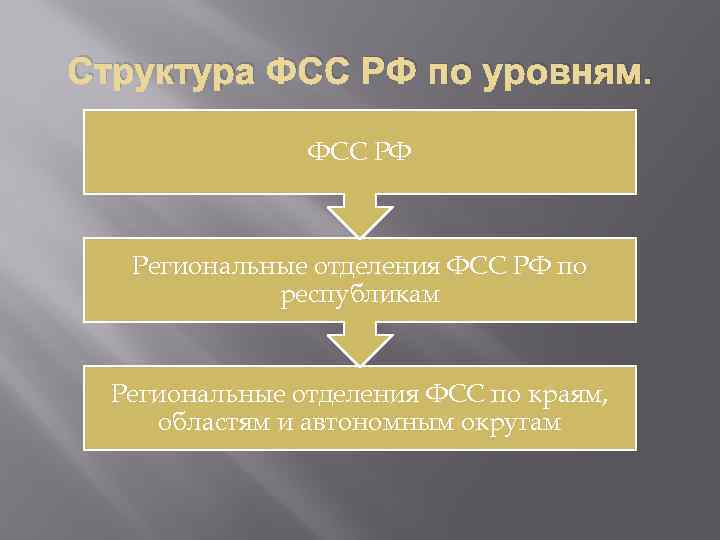 Структура фсс рф схема