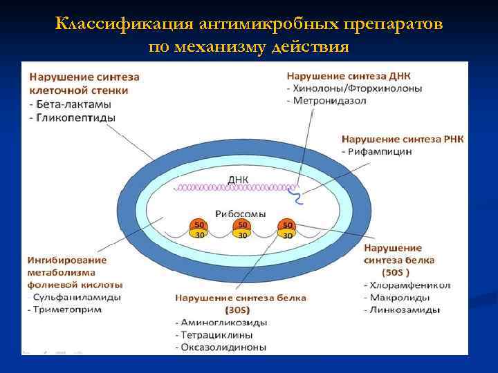 Классификация антимикробных препаратов по механизму действия 