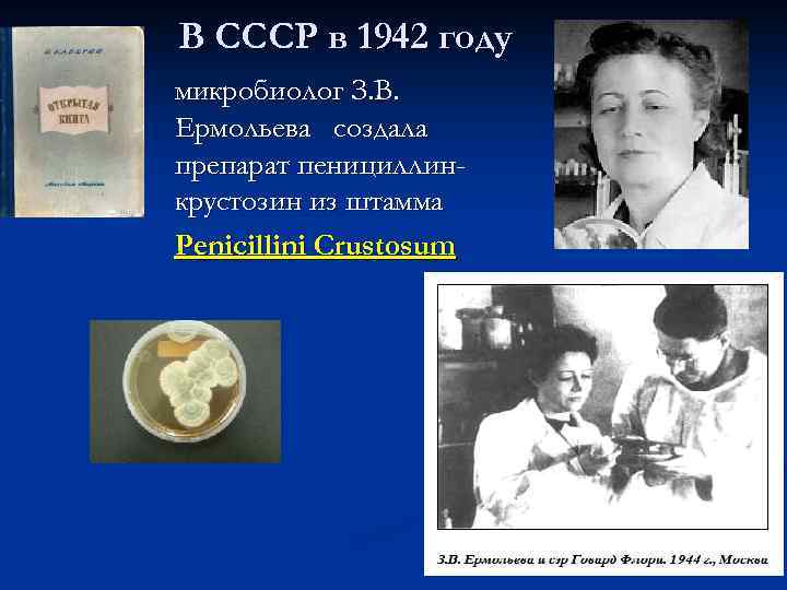 В СССР в 1942 году микробиолог З. В. Ермольева создала препарат пенициллинкрустозин из штамма