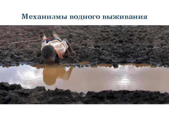 Механизмы водного выживания 