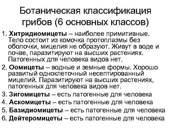 Ботаническая классификация грибов (6 основных классов) 1. Хитридиомицеты – наиболее примитивные. Тело состоит из