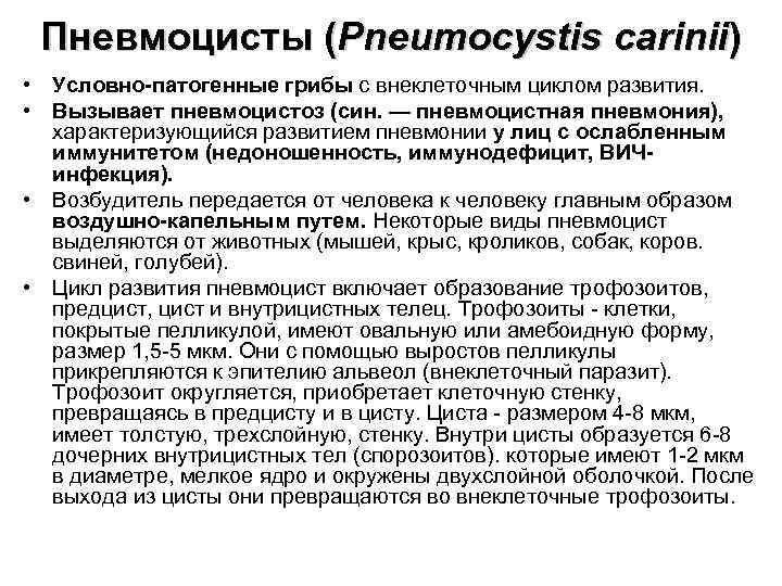 Пневмоцисты (Pneumocystis carinii) • Условно-патогенные грибы с внеклеточным циклом развития. • Вызывает пневмоцистоз (син.