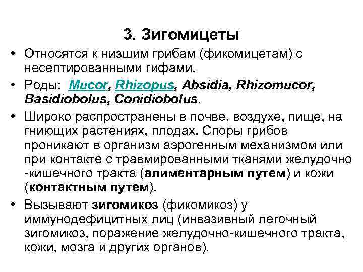 3. Зигомицеты • Относятся к низшим грибам (фикомицетам) с несептированными гифами. • Роды: Mucor,