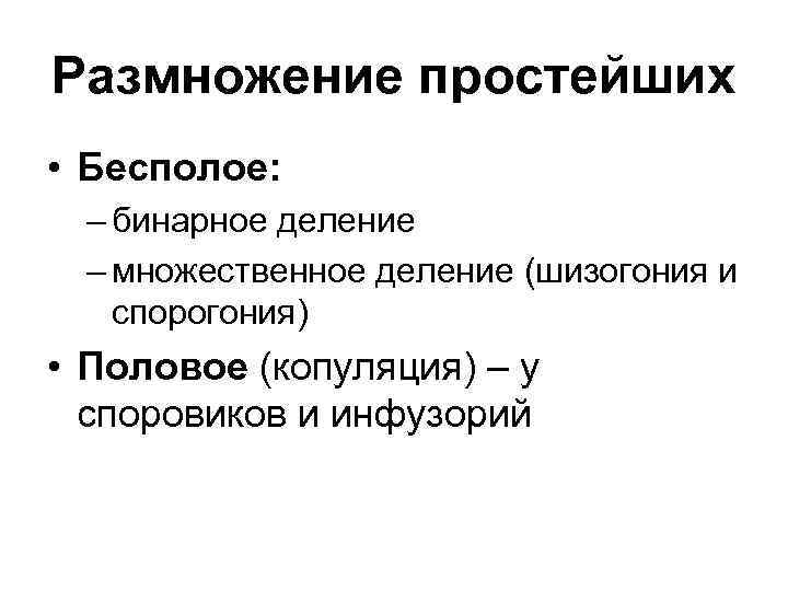 Размножение простейших. Как размножаются простейшие. Половое размножение простейших. Бинарное и множественное деление.