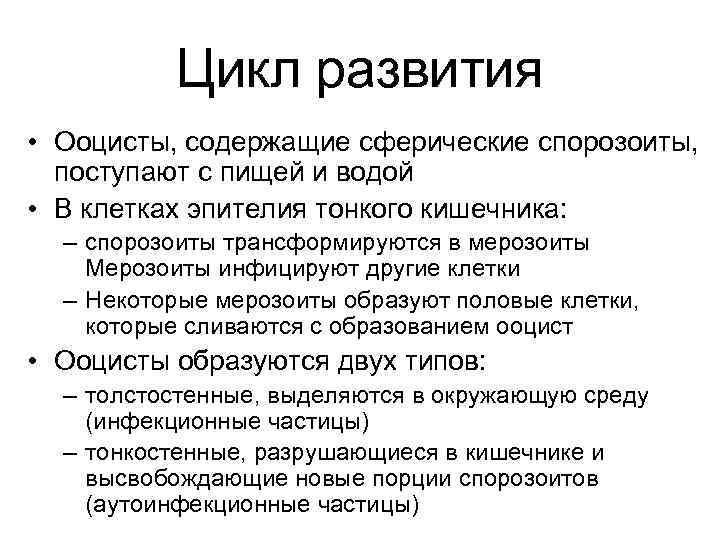 Цикл развития • Ооцисты, содержащие сферические спорозоиты, поступают с пищей и водой • В