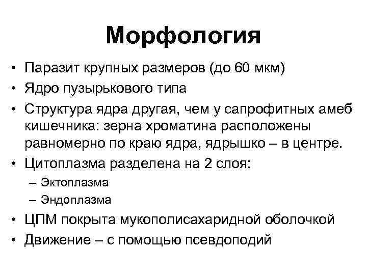 Морфология • Паразит крупных размеров (до 60 мкм) • Ядро пузырькового типа • Структура