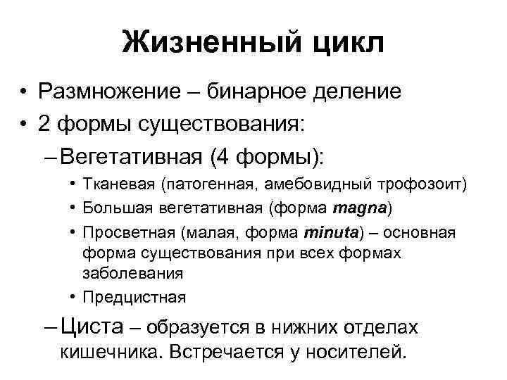 Жизненный цикл • Размножение – бинарное деление • 2 формы существования: – Вегетативная (4