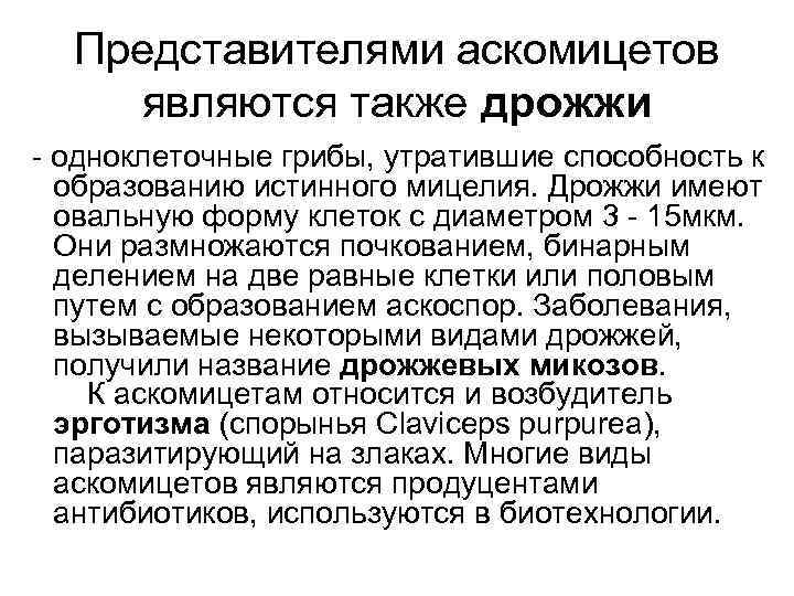 Представителями аскомицетов являются также дрожжи - одноклеточные грибы, утратившие способность к образованию истинного мицелия.