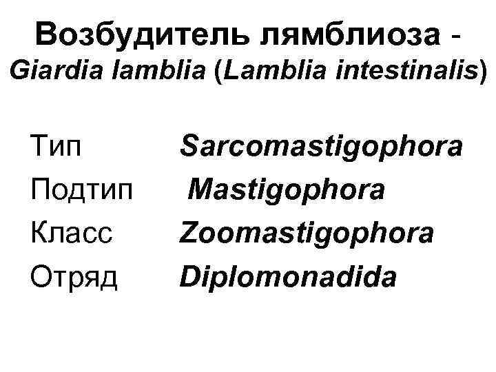 Возбудитель лямблиоза Giardia lamblia (Lamblia intestinalis) Тип Подтип Класс Отряд Sarcomastigophora Mastigophora Zoomastigophora Diplomonadida