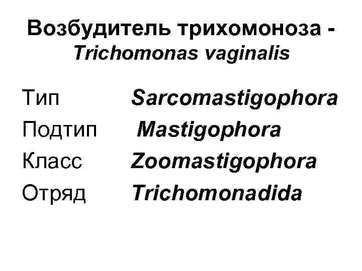 Возбудитель трихомоноза Trichomonas vaginalis Тип Подтип Класс Отряд Sarcomastigophora Mastigophora Zoomastigophora Trichomonadida 