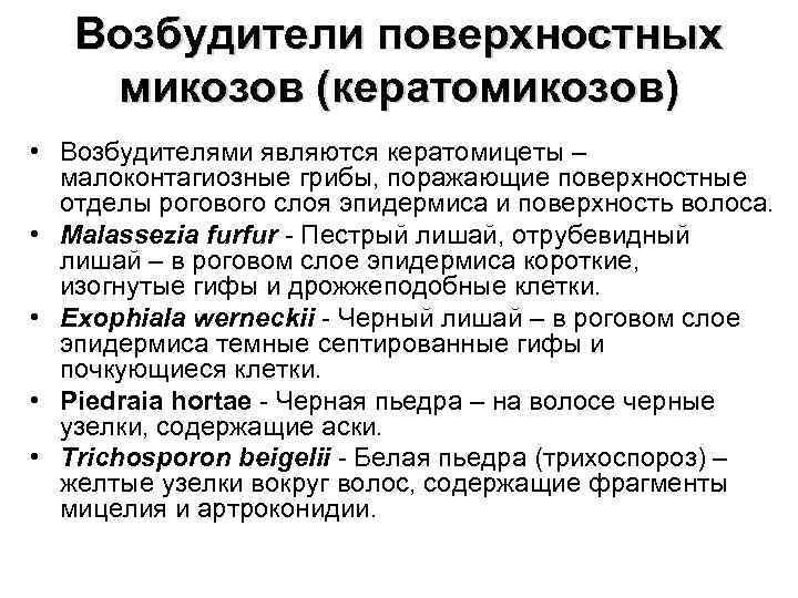 Возбудители поверхностных микозов (кератомикозов) • Возбудителями являются кератомицеты – малоконтагиозные грибы, поражающие поверхностные отделы