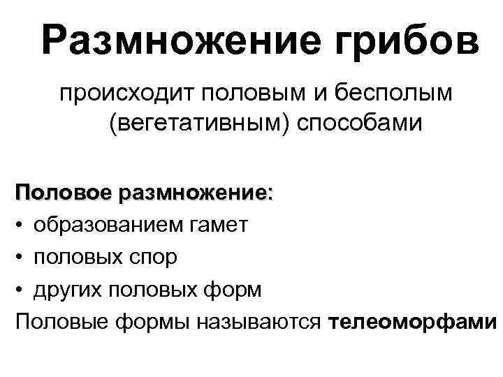 Размножение грибов происходит половым и бесполым (вегетативным) способами Половое размножение: • образованием гамет •