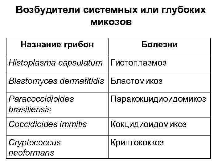 Возбудители системных или глубоких микозов Название грибов Болезни Histoplasma capsulatum Гистоплазмоз Blastomyces dermatitidis Бластомикоз