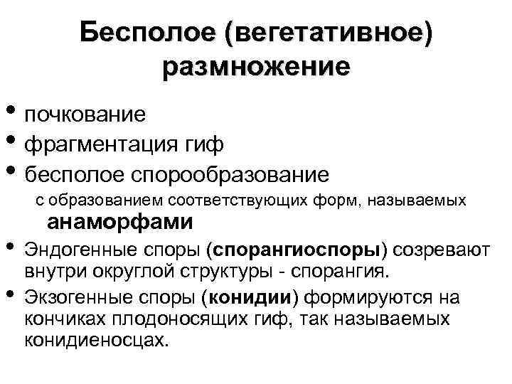 Бесполое (вегетативное) размножение • почкование • фрагментация гиф • бесполое спорообразование с образованием соответствующих