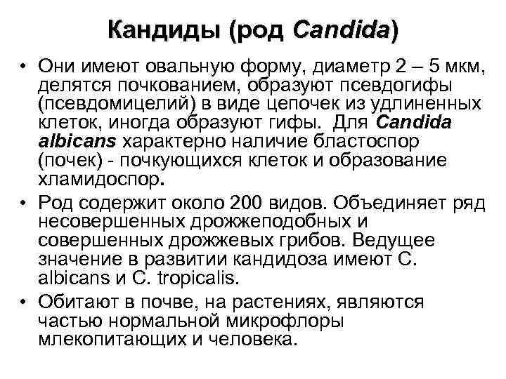 Кандиды (род Саndida) • Они имеют овальную форму, диаметр 2 – 5 мкм, делятся