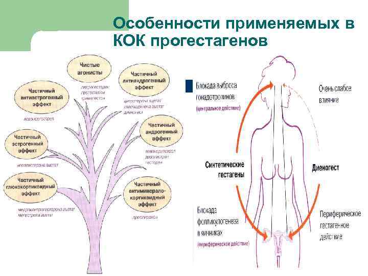 Восстановление гормонального фона после отмены кок