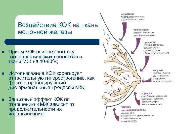 Пролонгированный прием кок схема