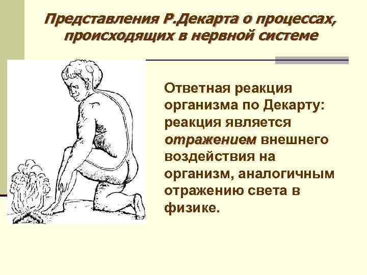Представления Р. Декарта о процессах, происходящих в нервной системе Ответная реакция организма по Декарту: