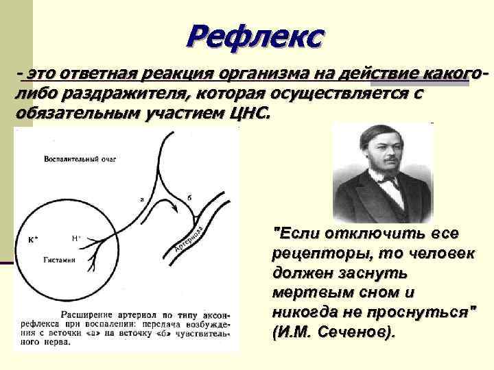 Ответная реакция организма