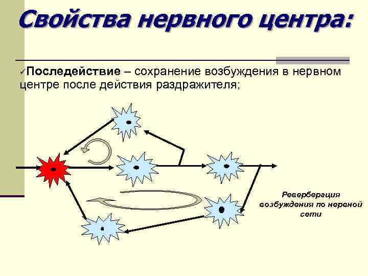 Свойства нервного центра: üПоследействие – сохранение возбуждения в нервном центре после действия раздражителя; Реверберация