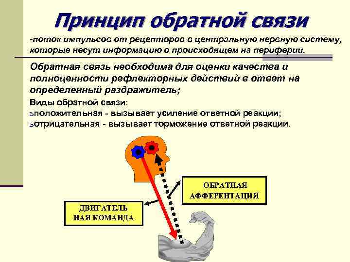 Почему обратный