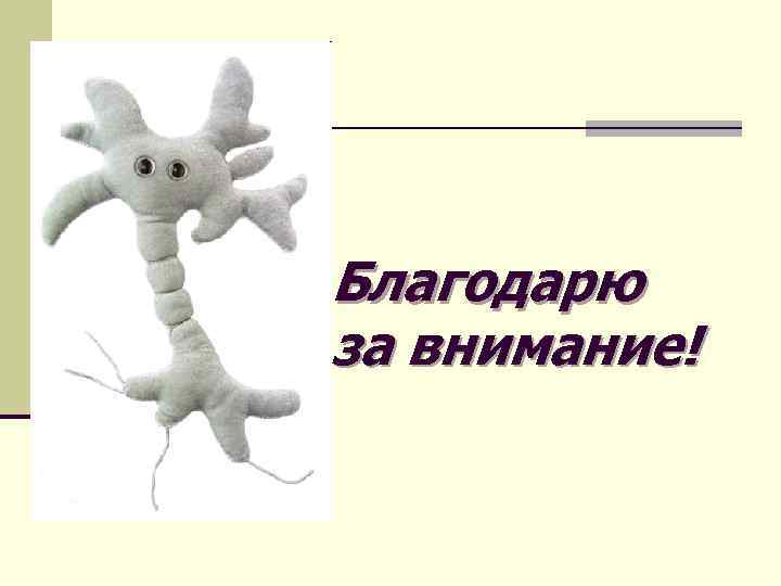 Благодарю за внимание! 