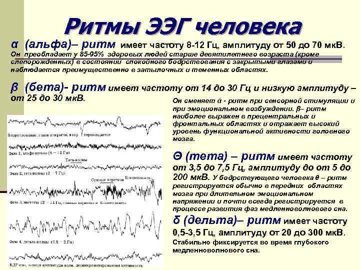Ритмы ЭЭГ человека α (альфа)– ритм имеет частоту 8 -12 Гц, амплитуду от 50