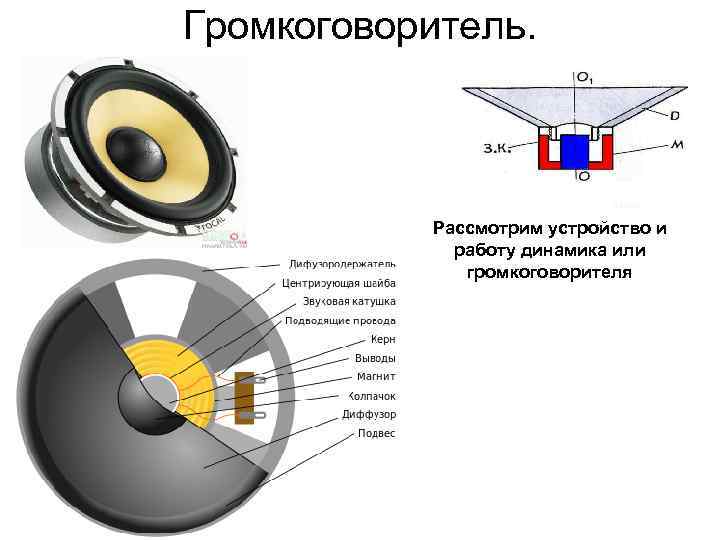 Элементы динамики