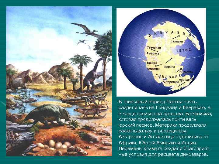 В триасовый период Пангея опять разделилась на Гондвану и Лавразию, а в конце произошла