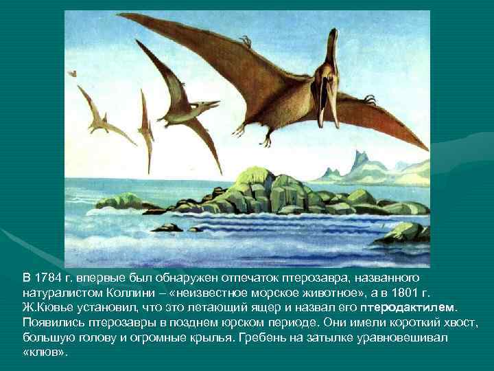 В 1784 г. впервые был обнаружен отпечаток птерозавра, названного натуралистом Коллини – «неизвестное морское