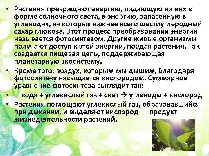 Получится растения