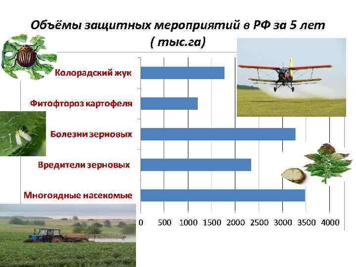 Объёмы защитных мероприятий в РФ за 5 лет ( тыс. га) 