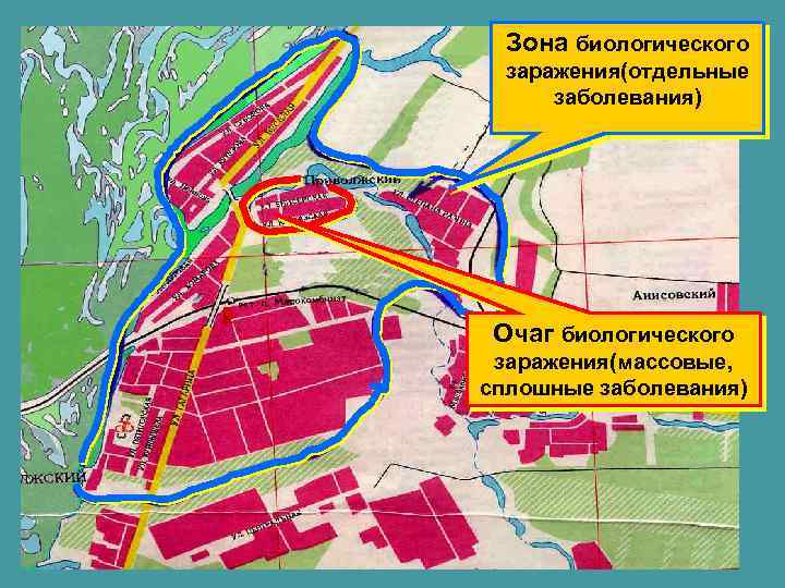 Зона биологического заражения(отдельные заболевания) Очаг биологического заражения(массовые, сплошные заболевания) 