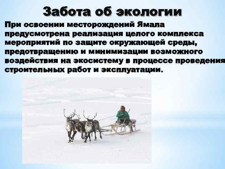 Забота об экологии При освоении месторождений Ямала предусмотрена реализация целого комплекса мероприятий по защите