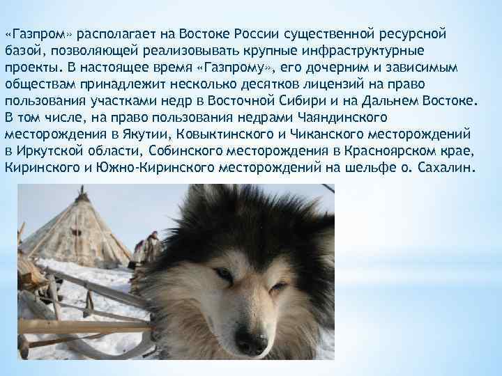  «Газпром» располагает на Востоке России существенной ресурсной базой, позволяющей реализовывать крупные инфраструктурные проекты.