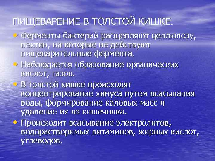 ПИЩЕВАРЕНИЕ В ТОЛСТОЙ КИШКЕ. • Ферменты бактерий расщепляют целлюлозу, • • • пектин, на