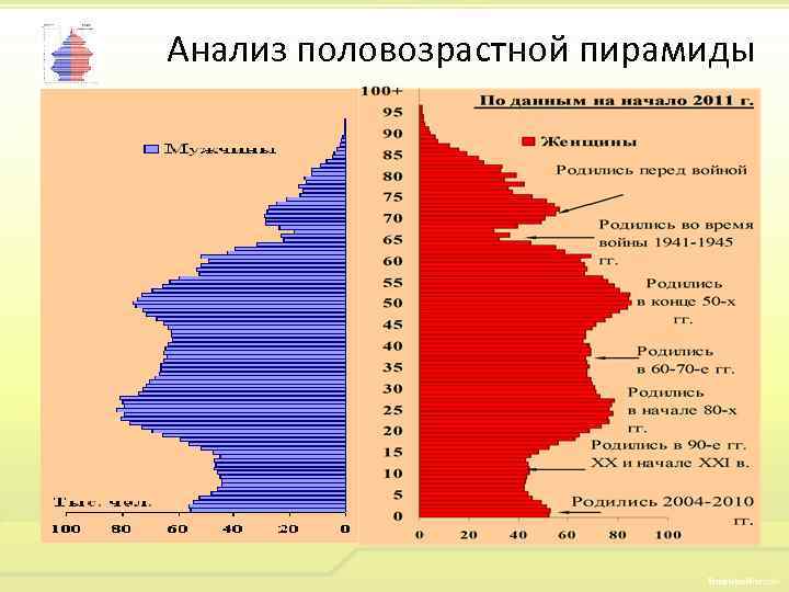 Анализ пирамиды населения россии